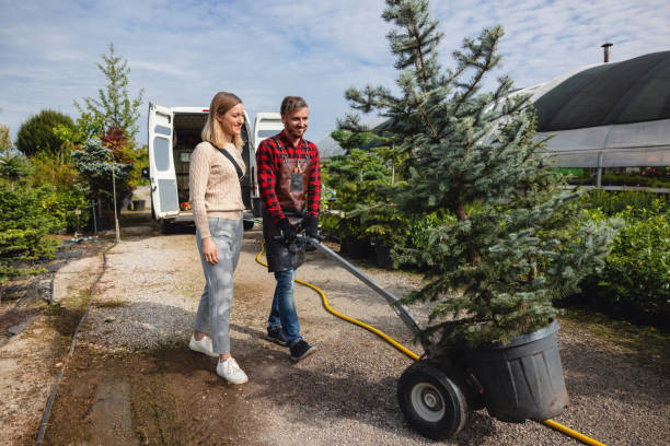 How Our Tree Care Process Works  in  Glasgow, OR